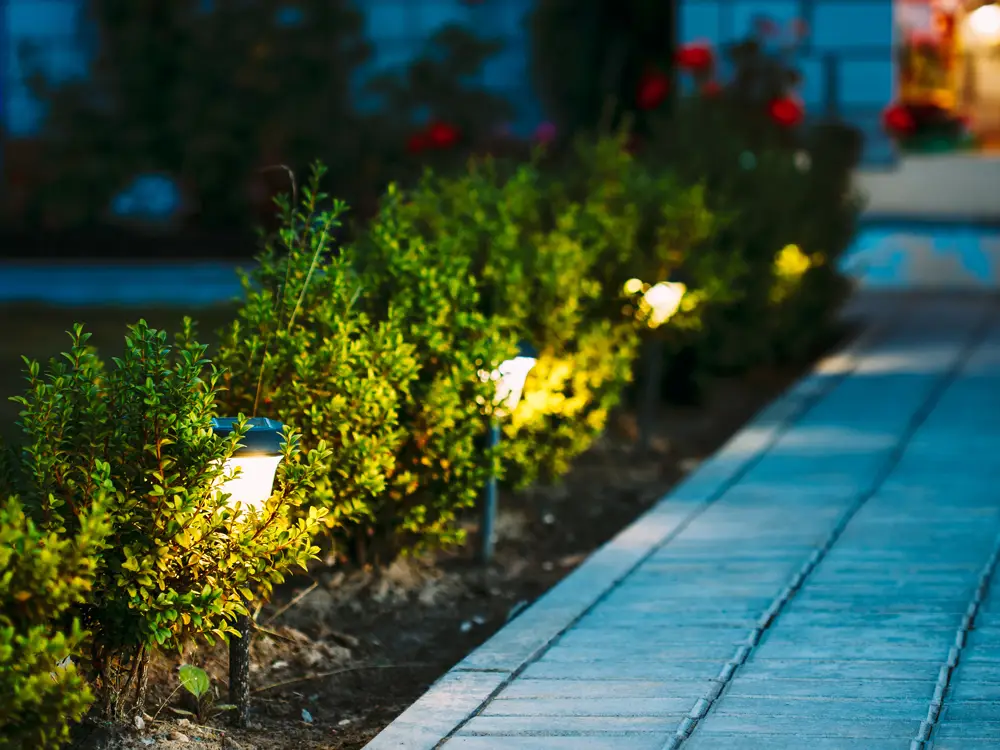 Aménagement d'un éclairage extérieur par une entreprise paysagiste