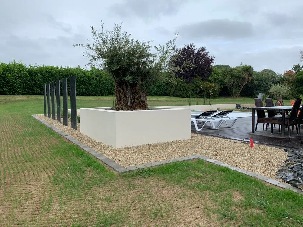 Aménagement d'une jardinière avec plantation d'un olivier à Saint-Brieuc Aménagement d'une jardinière avec plantation d'un olivier à Saint-Brieuc