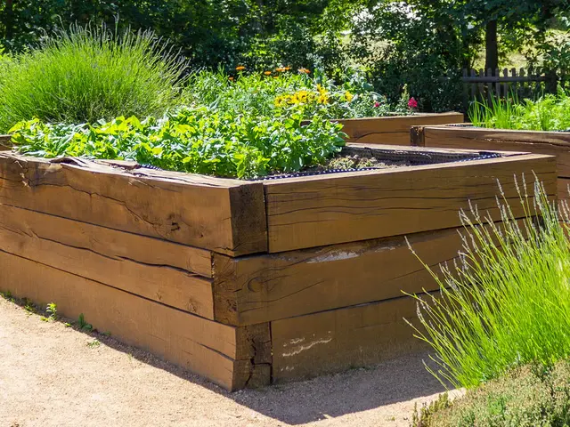 Création de carré potager