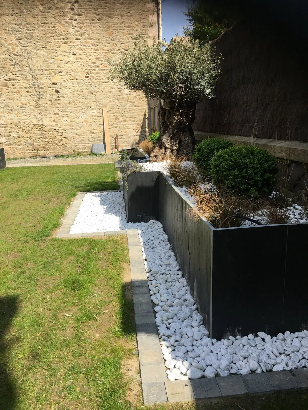 Création d'une jardinière avec plantations et olivier à Lamballe