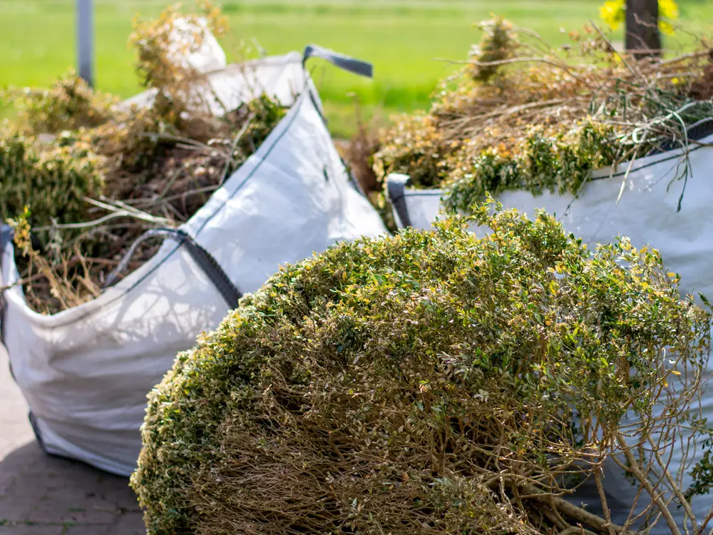 Évacuation des déchets verts du jardin