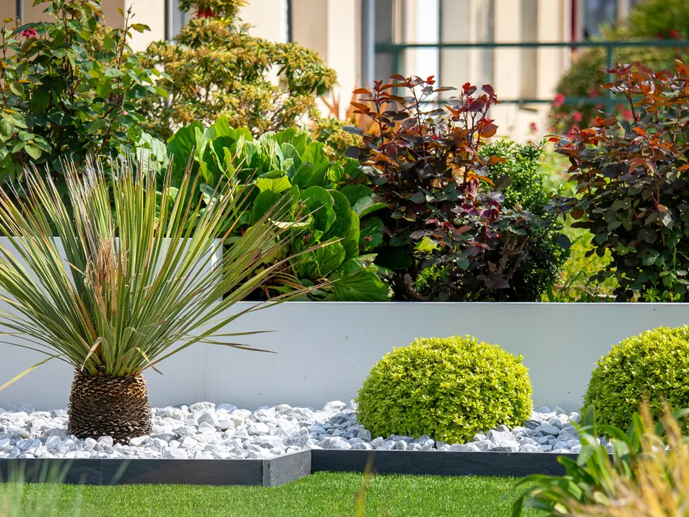 Mur en béton au milieu d'un jardin paysager