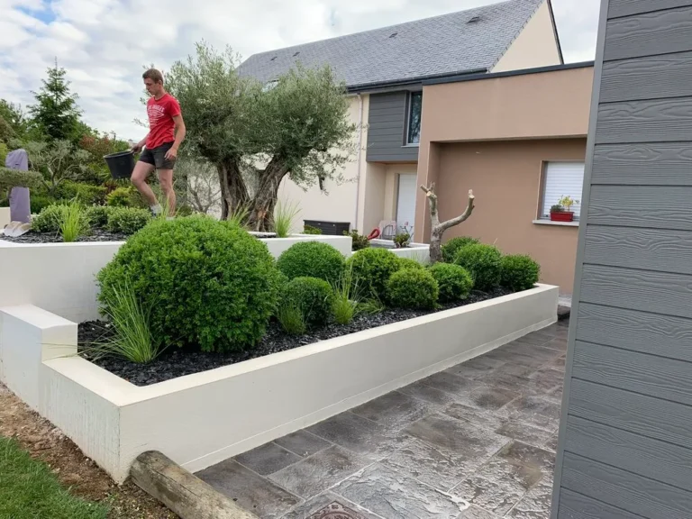 Réalisation d'une jardinière avec plantation d'un olivier centenaire à Lamballe