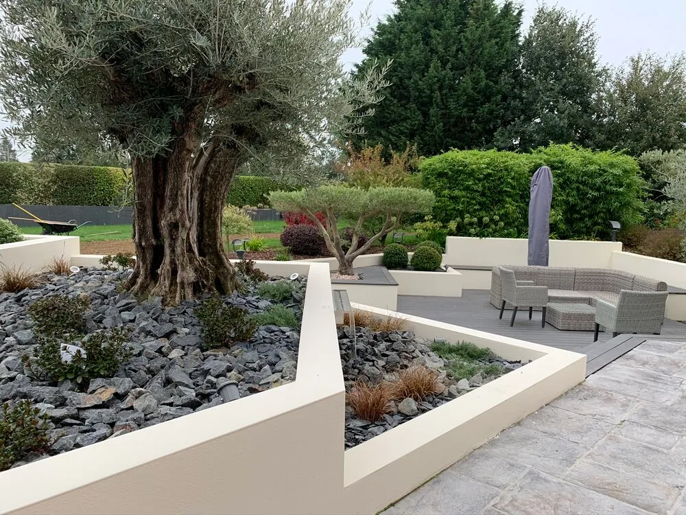 Plantation d'un olivier centenaire dans une jardinière extérieure à Lamballe