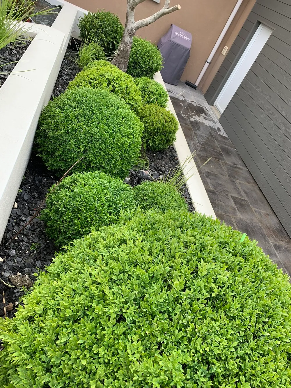 Aménagement de jardinières à plusieurs niveaux à Lamballe