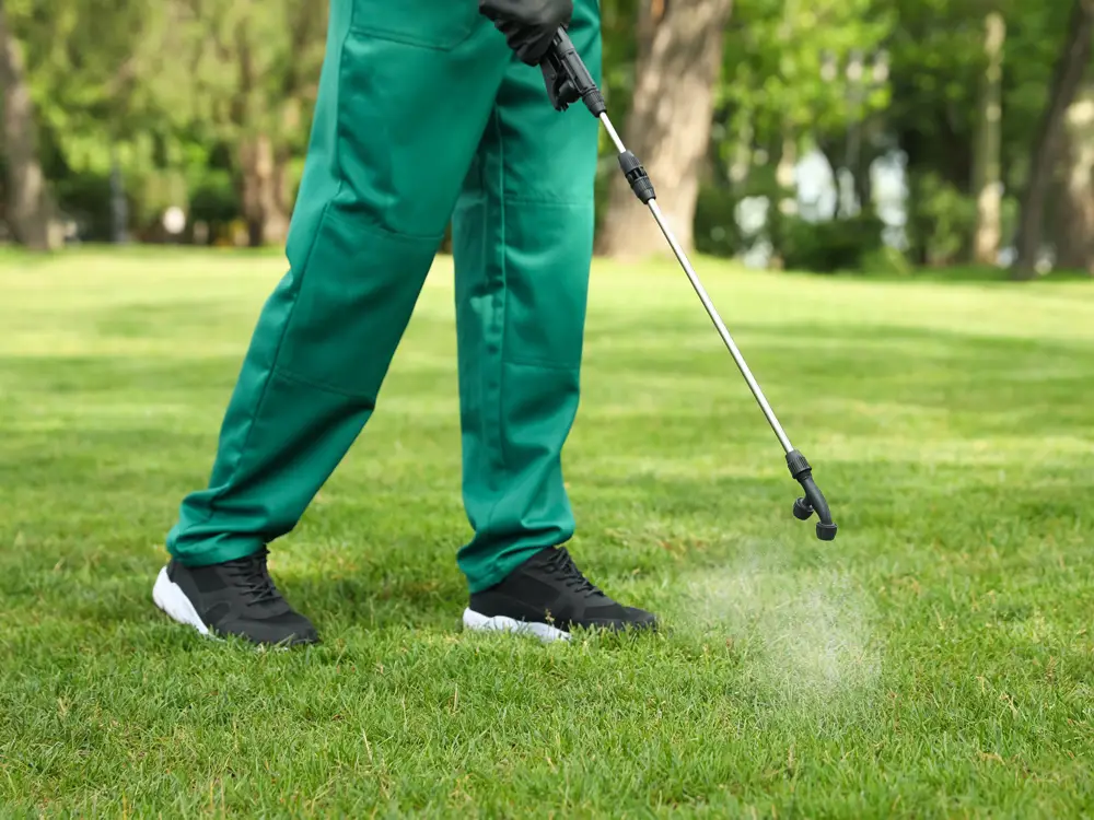 Service de désherbage par des professionnels