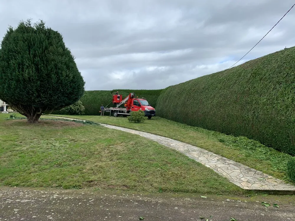 Taille d'une haie brise-vue à Plessala