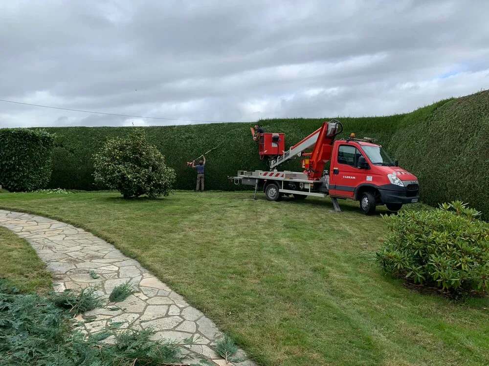 Taille d'une haie haute à Plessala
